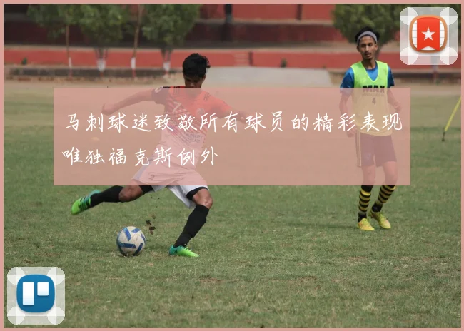 马刺球迷致敬所有球员的精彩表现唯独福克斯例外