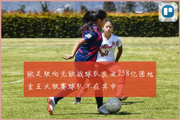 欧足联向无欧战球队发放258亿团结金五大联赛球队不在其中